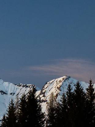 尊龙凯时(中国)有限公司官网